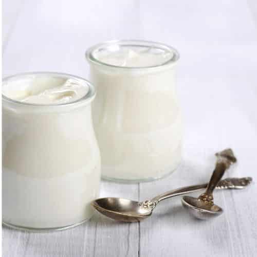 Plant based yogurt