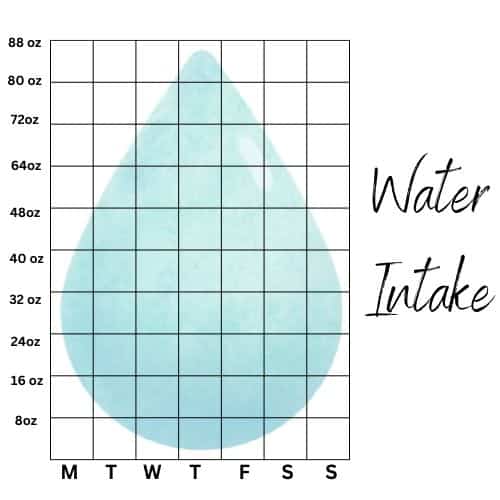 water consumption journal idea