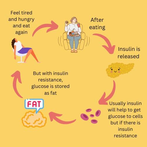 Insulin resistance  and overeating