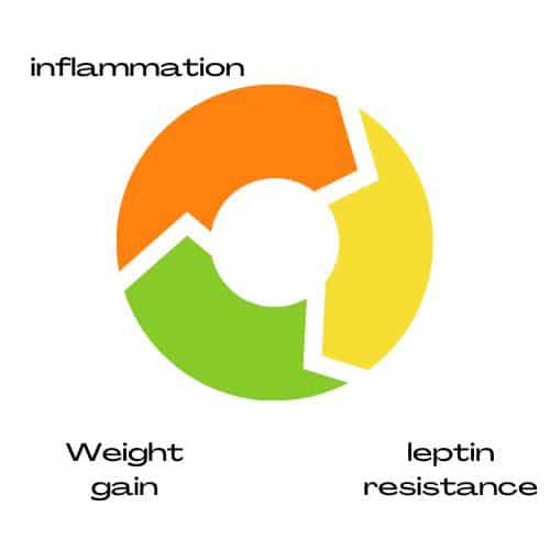 Inflammation, leptin resistance, weight management