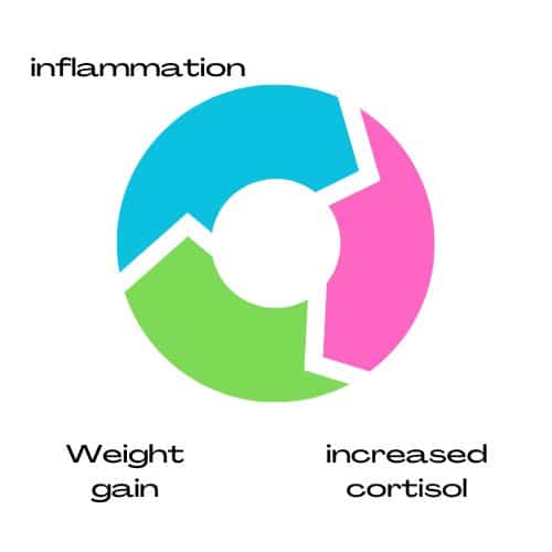 Inflammation increases cortisol, which leads to weight gain and then inflammation 
