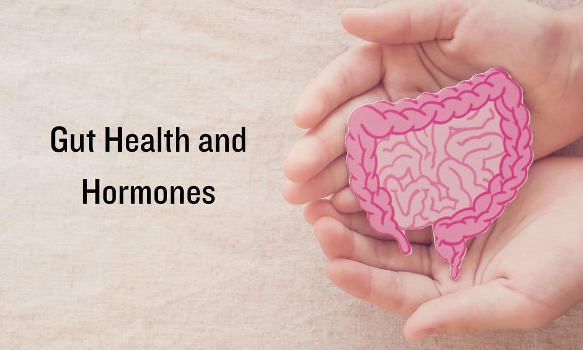 Gut health and hormones