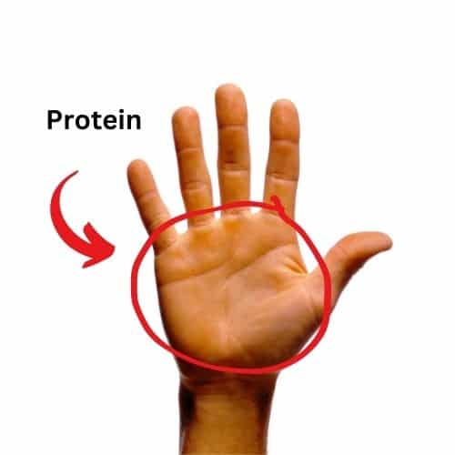 Size of palm to measure protein