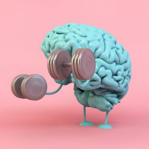 brain