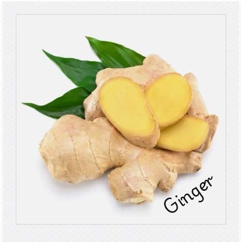 Ginger